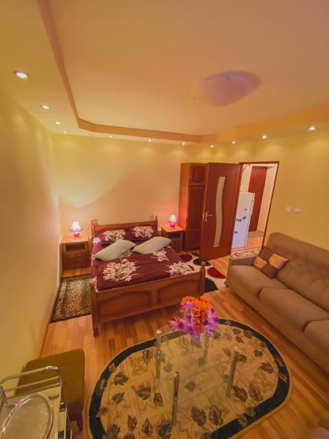 Apartament Cristian Geoagiu Bai Exterior photo