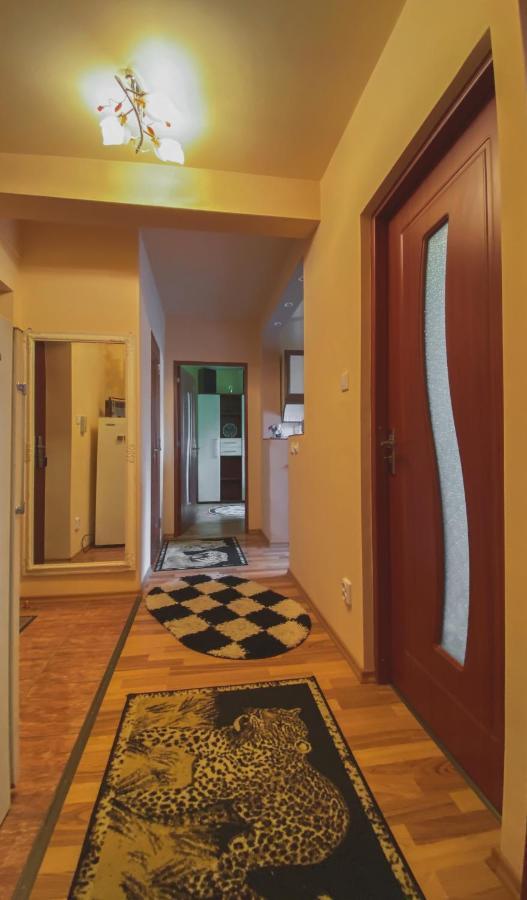 Apartament Cristian Geoagiu Bai Exterior photo